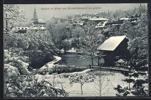 AK Buchholz / Sa., Ortsansicht im Winter vom Waldschlösschenpark aus gesehen