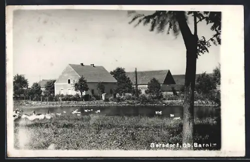 AK Gersdorf / Falkenberg, Ortspartie mit Dorfteich