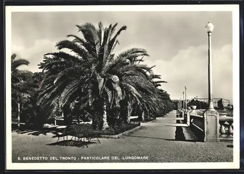 AK S. Benedetto del Tronto, Particolare del Lungomare
