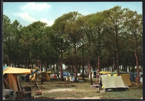 AK Casal Borsetti, Camping Pineta