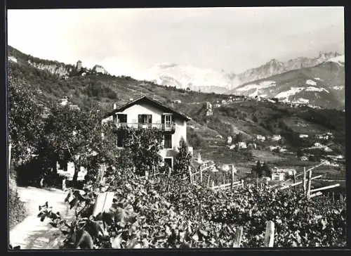 AK Algund bei Meran, Gasthaus Zenzhof, Inh. Fam. Sepp Unterweger