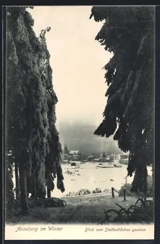 AK Annaberg / Erzgebirge, Ort vom Stadtwäldchen gesehen, Annaberg im Winter