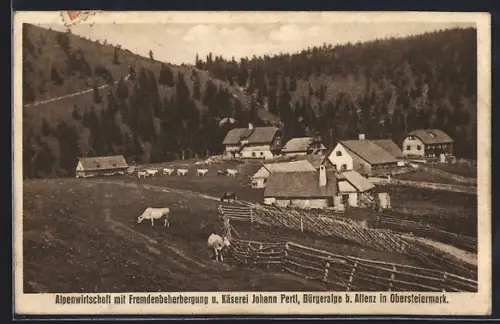 AK Aflenz, Alpenwirtschaft mit Fremdenbeherbung und Käserei Pertl