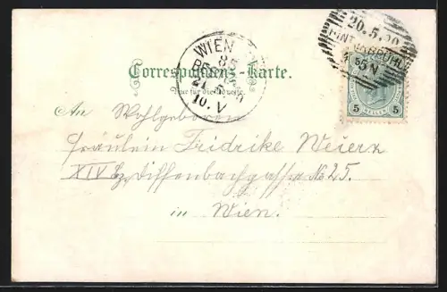 Lithographie Mödling, Husarentempel, Cursalon, Breite Fähre, Schwarzer Turm, Anningerhaus, Teilansicht