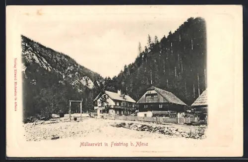 AK Feistring b. Aflenz, Müllnerwirt mit Bergpanorama