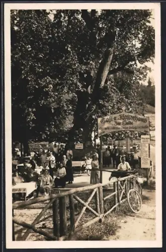 AK Rasing bei Mariazell, Gasthaus Zur Linde, Blick in den Biergarten