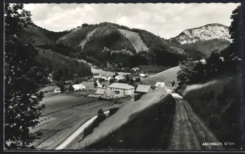 AK Aschbach /Stmk., Teilansicht mit Strassenpartie
