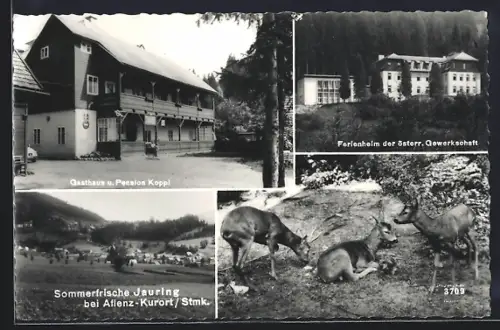 AK Aflenz /Stmk., Gasthaus und Pension Koppl, Ferienheim der österr. Gewerkschaft, Rehbock mit Rehen
