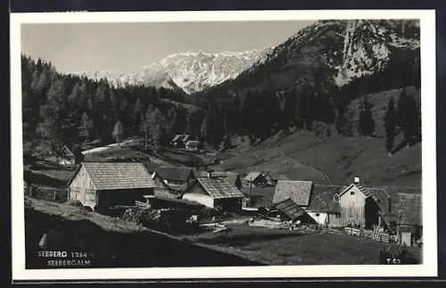 AK Seewiesen, Partie mit Seebergalm und Seeberg