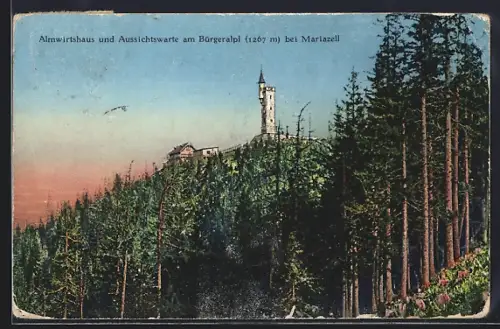 AK Mariazell, Almwirtshaus und Aussichtswarte am Bürgeralpl