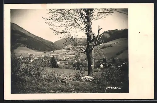 AK Ottertal, Ortspartie mit Baum