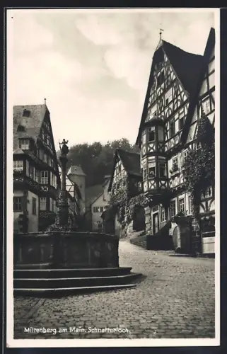 AK Miltenberg, Partie am Schnatterloch