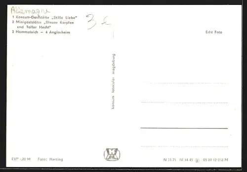 AK Sondershausen / Thüringen, Konsum-Gaststätte Stille Liebe, Minigaststätte Blauer Karpfen und Toller Hecht, Hammateich