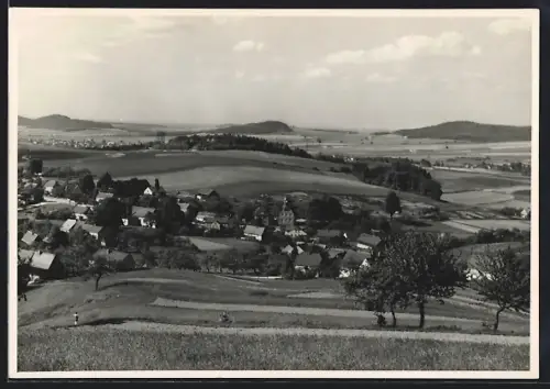 AK Steina / Pulsnitz, Ortsansicht aus der Vogelschau