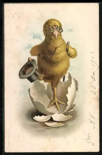 Lithographie Osterküken mit Zylinder und Brille in der Eierschale