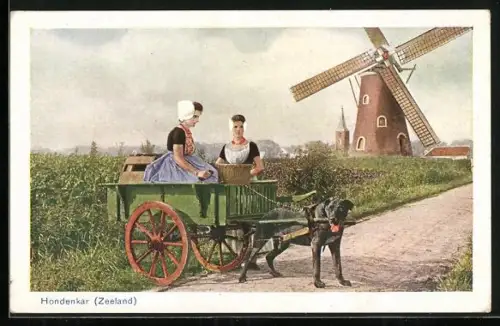 AK Zeeland, Bäuerinnen in Tracht mit Hundegespann vor Windmühle