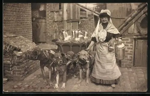 AK Laitiere Belge, En Route, Hundegespann mit Milchkannen