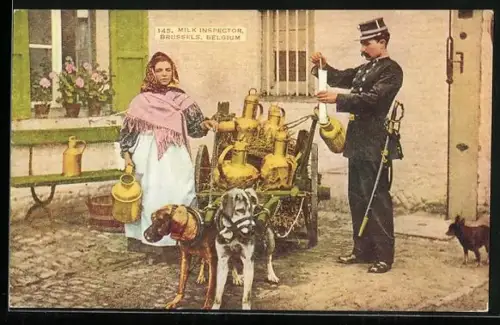 AK Brussels, Milk Inspector, Hundegespann