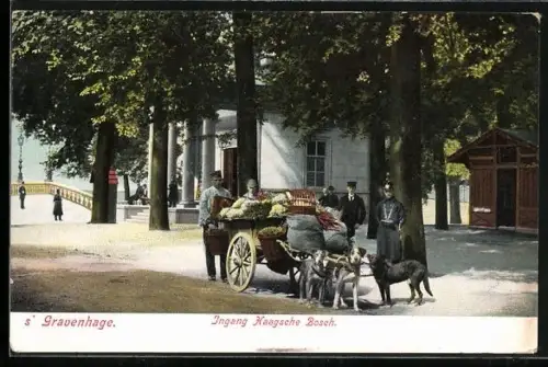 AK `s-Gravenhage, Ingang Haagsche Bosch, Hundegespann