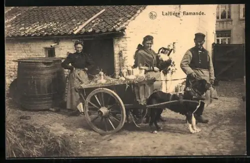 AK Laitière flamande, Belgier mit Hundegespann