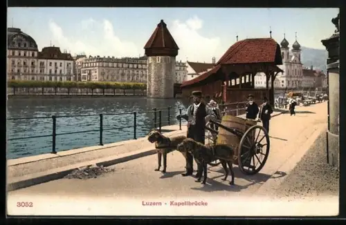 AK Luzern, Hundegespann vor Kapellbrücke