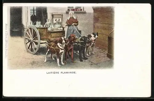 AK Laitière Flamande, Hundegespann
