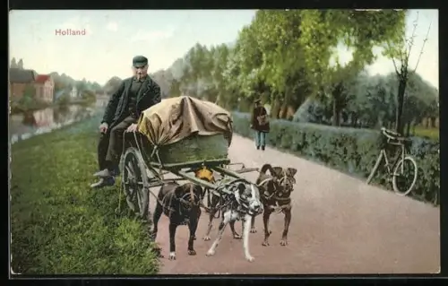AK Holland, Milchkarren mit Hundegespann