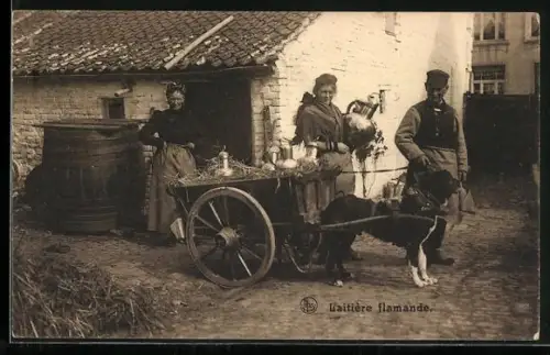 AK Laitière flamande, Belgier mit Hundegespann