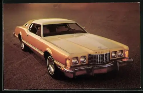 AK 1976 Thunderbird, 2-Dr Hardtop with Cream and Gold Luxury Group