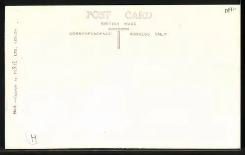 AK Colombo, Prince Street