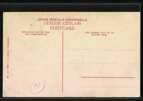 AK Borella /Colombo, Typical Roadside View