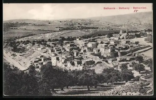 AK Bethanien, Gesamtansicht vom Hügel aus