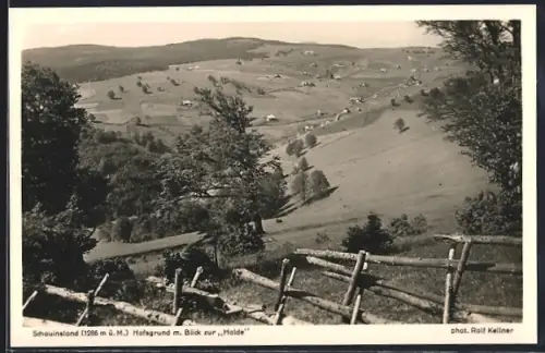 AK Schauinsland, Hofsgrund mit Blick zur Halde