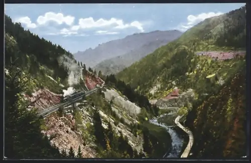 AK Höllental / Höllsteig, Dampfende Lok und Talpanorama