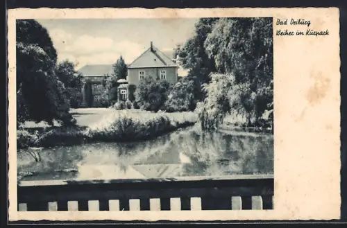 AK Bad Driburg, Weiher im Kurpark