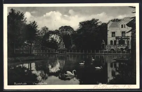 AK Buxtehude, Vieverpartie mit Schwänen