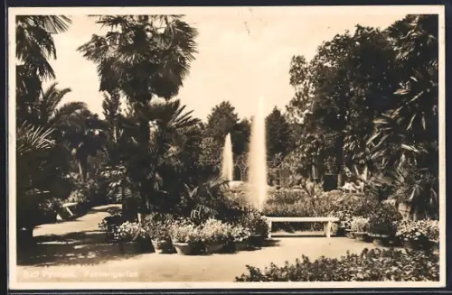 AK Bad Pyrmont, Der Palmengarten mit Springbrunnen