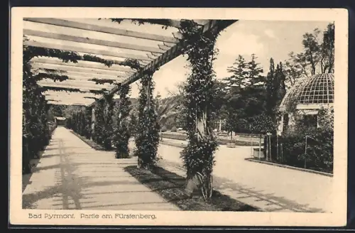 AK Bad Pyrmont, Partie am Fürstenberg