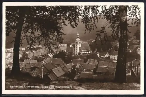 AK Lautenthal i. Oberharz, Blick vom Kranichsberg