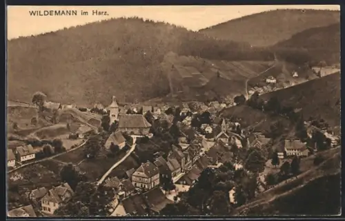 AK Wildemann im Harz, Ortsansicht mit Kirche