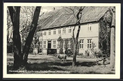 AK Hermannsburg, Neues Missionshaus, Schaf