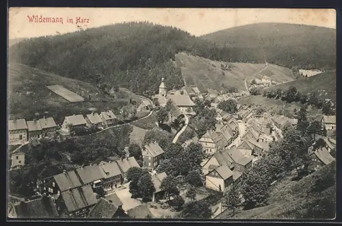 AK Wildemann im Harz, Ortsansicht mit Kirche, Blick ins Tal