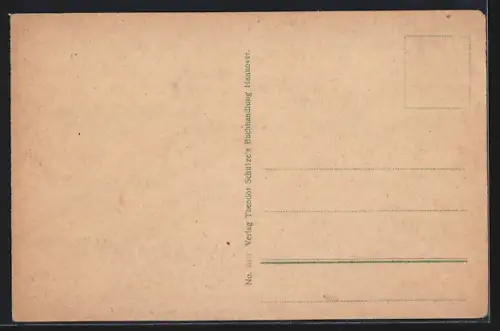 AK Hannover, Das Rathaus am Wasser