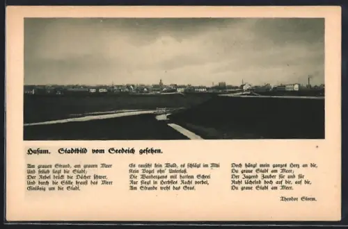 AK Husum / Nordsee, Stadtbild vom Seedeich gesehen