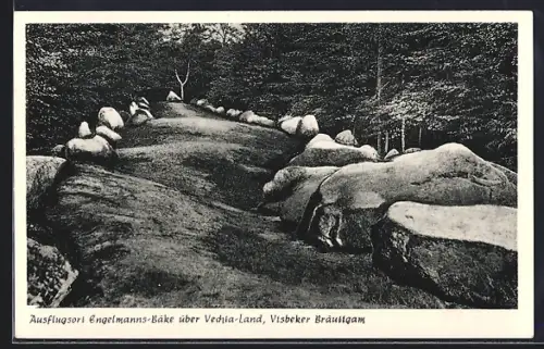 AK Endel über Vechta, Ausflugsort Engelmann-Bäke, Visbeker Bräutigam