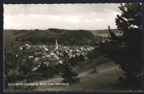 AK Scharzfeld /Südharz, Blick vom Steinberg