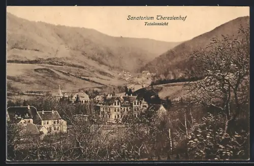 AK Goslar, Sanatorium Theresienhof, Totalansicht
