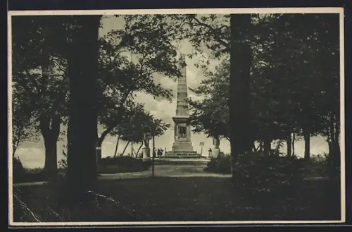 AK Bad Harzburg, Burgbergplateau mit Bismarcksäule