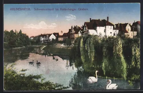 AK Hildesheim, Kalenberger Graben, Schwaneninsel
