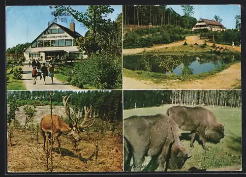 AK Vahrendorf, Der Hochwild-Schutzpark Schwarze Berge mit Parkrestaurant, Inh. Heinz Wagner